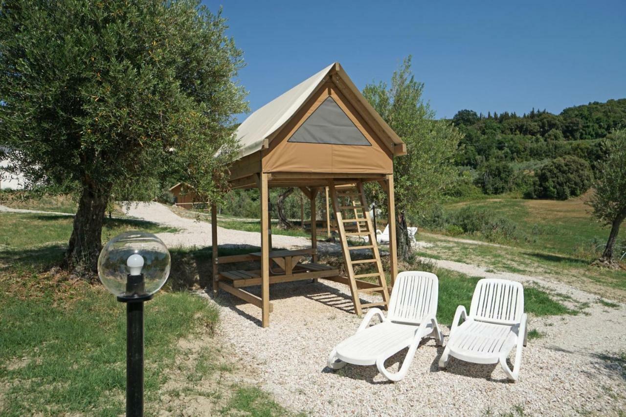 Podere Cortesi Molinaccio